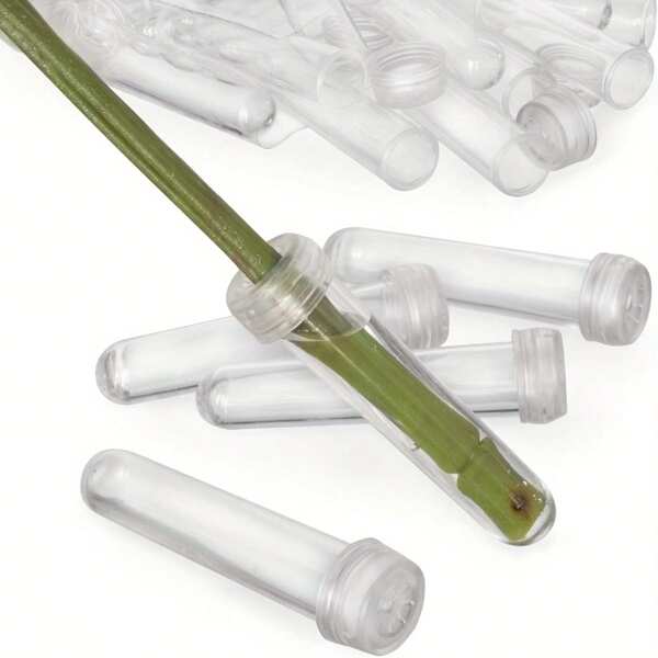 10/20/30pcs Floral Stem Water Tubes Plastic Flowers Vials Stem Water Tube Small Rose Water Holder Florist Supplies For Flower Arrangements Decoration