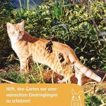 Kaninchennetz 25 m, 65 cm Einzelspitz, grün - Armeegrün - Übersicht 4