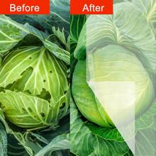 1pc Extra-Large White Ultra Fine Mesh Netting Barrier - Ideal For Fruit Trees, Vegetables & Blueberry Protection