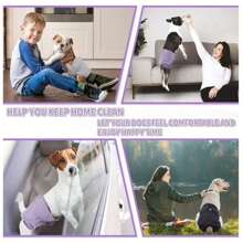 3包可水洗可重复使用的中号母犬尿布 - 彩色 - 查看 8