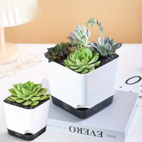 Maceta para plantas suculentas, maceta de resina para bonsái de filodendro para sala de estar/balcón, maceta pequeña para flores