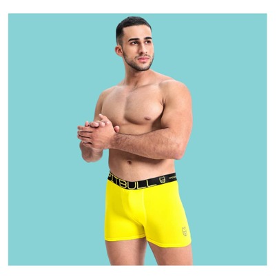 Pitbull American Kit 10 Cuecas Boxer Premium  Pitbull American