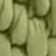 彩色