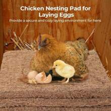 Natural Chicken Nest Cushion Lying Down, Hen Nest Box Cushion Nested Cushion Suitable For Chicken Coop And Chicken Bed, Suitable For Most Nested Boxes - Multicolor - View 2