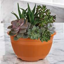 Kit 24 Vases P Gourd With Handle 1 Liter Succulents Cacti Modern Design Garden Decoration Pink Desert - 摩卡棕 - 查看 4