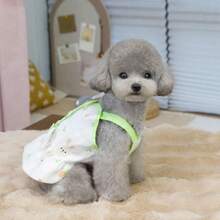 春夏新款蕾丝连衣裙，25厘米兔子连衣裙，宠物连衣裙，猫咪公主裙，娃娃连衣裙，新款百搭条纹连衣裙，狗狗衣服，泰迪熊套装，时尚公主裙，印花牵引绳公主裙 - 橘色 - 查看 6