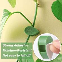 20pcs Plant Clips, Suitable For Climbing Plants, Self-Adhesive Plant Holders, Outdoor Plant Wall Mounts, Plant Accessories, Great For Small Plants