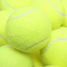 4 Stücke, Tennis, Anfänger Trainingsball, hohe Elastizität und Verschleißfestigkeit, Massageball für Haustiere