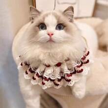 1pc Cute Cat & Dog Bibs, Teacup Poodle Lace Collar, S Size