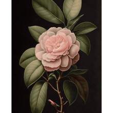 1pc Vintage Floral Still Life Posters Flowers In A Vase Camellia Cherry Blossom Wall Arts Picture For Living Room Home Decor No Frame
