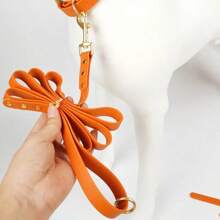 Correa de perro de goma, correa de entrenamiento para perros, resistente al agua y a la intemperie, longitud de 60 pulgadas para perros pequeños, medianos y grandes o cachorros, en varios tamaños y colores - Multicolor - Ver 3