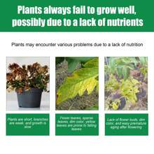 1 Set Coconut Fiber Nutrient Substrate Brick, Natural Coconut Fiber Compound Formula, Suitable For Potted Plants, Lawn, Promotes Rooting, Germination & Growth, Organic Cultivation Medium - Coconut Shell Fiber Brick - View 7