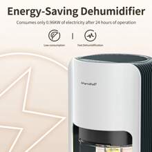 Dehumidifiers For Home, 42oz Dehumidifier For Bathroom, Dehumidifiers For Room With Auto Shut Off, Auto Defrost Quiet Dehumidifiers For Bedroom Wardrobe Closet Trailer