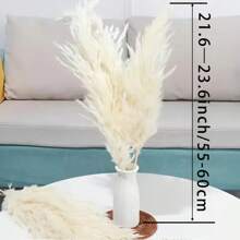 5/10/15/20 piezas Tallos de Pasto Pampa Blanco de 23 Pulgadas/58cm, agregue un estilo bohemio a su espacio. El Pasto Pampa es una opción ideal para arreglos florales, jarrones, bodas y crear un ambiente bohemio en el hogar. Decoración navideña y de boda del Día de San Valentín