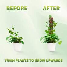 1/2/4 Stücke 60 cm Moosstäbe für Kletterpflanzen - Pflanzenunterstützung mit perforiertem Design für Zimmerbegrünung, Monstera und Sphagnum-Moos, Moospfahl für Pflanzen - Transparent - Übersicht 6