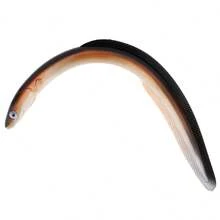 قطعة واحدة طعم سمك اصطناعي طري واقعي بطول 30سم/22.86 بوصة وبوزن 58 جرام - متعدد الألوان - مشاهدة 5