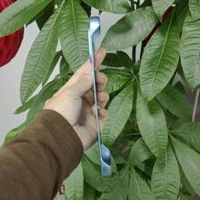 Simple Solid Color Phone Case For IPhone 16 15 14 13 Pro Max Fashion Creative Design Beautiful Casing Hard Cases Anti-Fingerprints Cover - 藍色 - 查看 3