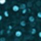 Teal Blue