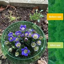 6pcs Transparent Green Circular Snail & Slug Protectors - Reusable Plant Covers Suitable For Protecting Plants, Animals, Snails & Insects - Multicolor - View 3