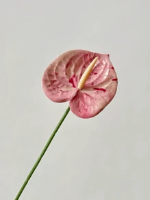 1 PIEZA/3 PIEZAS/5 PIEZAS Flores artificiales de Anthurium Lily (rosado manchado) para decoración de bodas, oficina, fiesta, hotel, hogar, centro de mesa - Rosa manchado - Ver 4