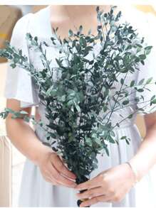 1 Bunch Preserved Eucalyptus Leaves, Natural Green Foliage For DIY Floral Arranging, Photography Props, Home & Bedroom Decor Gifts Birthday Graduation,Garden Decor,Outdoor Plant,Gardening,Fake Flowers