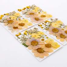 35pcs Dried Pressed Flowers For Resin Molds, Real Pressed Flowers Dry Leaves Kit For Art Crafts Resin Jewelry Making Scrapbook Supplies Card Making Soap Candle DIY Nails Decor| Valentine Day's Gift| Couple Gift| Christmas Gift Xmas Gift| Halloween Gift Decor