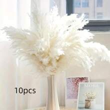 5/10/15/20 piezas Tallos de Pasto Pampa Blanco de 23 Pulgadas/58cm, agregue un estilo bohemio a su espacio. El Pasto Pampa es una opción ideal para arreglos florales, jarrones, bodas y crear un ambiente bohemio en el hogar. Decoración navideña y de boda del Día de San Valentín