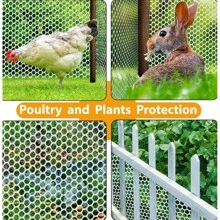 Household Plastic Protective Net Balcony Fall Protection Net Poultry Breeding Garden Plastic Protective Net
