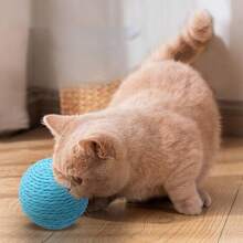 1pc New Interactive Cat Toys, Spherical Rope Chewing And Playing, Dental Care And Cleaning, Suitable For All Breeds Of Cats Both Indoors And Outdoors, No Batteries Required