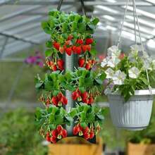 3pcs Hanging Planting Bags, 8/10 Holes, Reusable, Space-Saving, Transparent, Durable, Suitable For Potatoes, Vegetables, Strawberries (Green And Orange) - Green - View 5