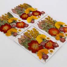 35pcs Dried Pressed Flowers For Resin Molds, Real Pressed Flowers Dry Leaves Kit For Art Crafts Resin Jewelry Making Scrapbook Supplies Card Making Soap Candle DIY Nails Decor| Valentine Day's Gift| Couple Gift| Christmas Gift Xmas Gift| Halloween Gift Decor