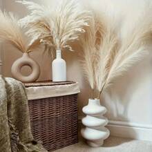 5/10/15/20 piezas Tallos de Pasto Pampa Blanco de 23 Pulgadas/58cm, agregue un estilo bohemio a su espacio. El Pasto Pampa es una opción ideal para arreglos florales, jarrones, bodas y crear un ambiente bohemio en el hogar. Decoración navideña y de boda del Día de San Valentín