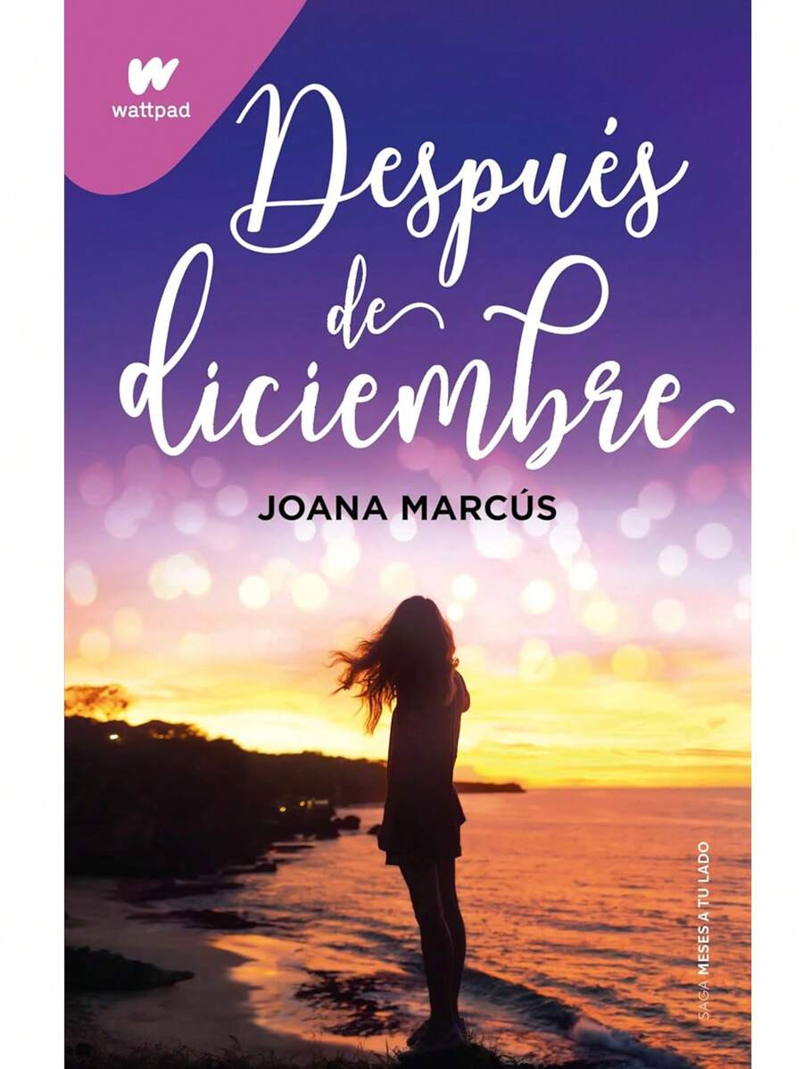 Libro Después de Diciembre - Libro único - Ver 1