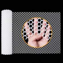 Household Plastic Protective Net Balcony Fall Protection Net Poultry Breeding Garden Plastic Protective Net