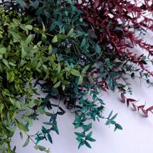 1 Bunch Preserved Eucalyptus Leaves, Natural Green Foliage For DIY Floral Arranging, Photography Props, Home & Bedroom Decor Gifts Birthday Graduation,Garden Decor,Outdoor Plant,Gardening,Fake Flowers