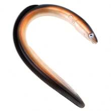 1pc 30cm/22.86inch, 58g Soft Fishing Lure, Realistic Artificial Eel Bait - Multicolor - View 3