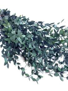 1 Bunch Preserved Eucalyptus Leaves, Natural Green Foliage For DIY Floral Arranging, Photography Props, Home & Bedroom Decor Gifts Birthday Graduation,Garden Decor,Outdoor Plant,Gardening,Fake Flowers