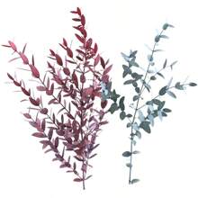 1 Bunch Preserved Eucalyptus Leaves, Natural Green Foliage For DIY Floral Arranging, Photography Props, Home & Bedroom Decor Gifts Birthday Graduation,Garden Decor,Outdoor Plant,Gardening,Fake Flowers