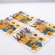 35pcs Dried Pressed Flowers For Resin Molds, Real Pressed Flowers Dry Leaves Kit For Art Crafts Resin Jewelry Making Scrapbook Supplies Card Making Soap Candle DIY Nails Decor| Valentine Day's Gift| Couple Gift| Christmas Gift Xmas Gift| Halloween Gift Decor