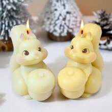 1pc Squirrel Shaped Silicone Candle & Wax Mold DIY Plaster Oil Diffuser Home Decor Accessory