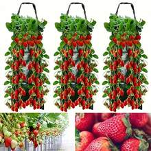 3pcs Hanging Planting Bags, 8/10 Holes, Reusable, Space-Saving, Transparent, Durable, Suitable For Potatoes, Vegetables, Strawberries (Green And Orange) - Green - View 11