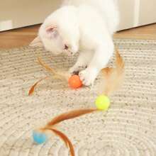 Interactive Cat Feather Ball Toys - 2025 New Elastic Bouncy Balls For Indoor Cats, Kitten Rolling Exercise Toys With Silicone Feathers, Fun Cat Toy For Play & Exercise - Multicolor - View 11