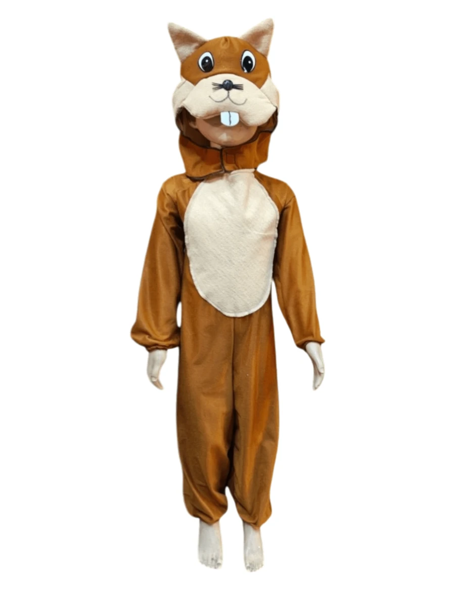 Disfraz Ardilla Infantil Festival Primavera Carnaval Escuela - Multicolor - Ver 1