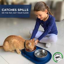 猫爱好者和猫妈妈爱或小狗爱好者和狗妈妈爱碗带防溢垫，12 盎司不锈钢喂食盘