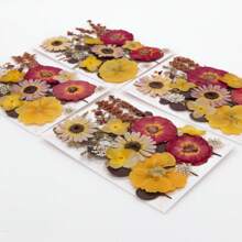 35pcs Dried Pressed Flowers For Resin Molds, Real Pressed Flowers Dry Leaves Kit For Art Crafts Resin Jewelry Making Scrapbook Supplies Card Making Soap Candle DIY Nails Decor| Valentine Day's Gift| Couple Gift| Christmas Gift Xmas Gift| Halloween Gift Decor