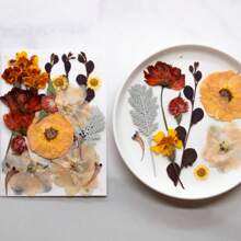35pcs Dried Pressed Flowers For Resin Molds, Real Pressed Flowers Dry Leaves Kit For Art Crafts Resin Jewelry Making Scrapbook Supplies Card Making Soap Candle DIY Nails Decor| Valentine Day's Gift| Couple Gift| Christmas Gift Xmas Gift| Halloween Gift Decor