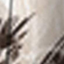 Men's New Summer Tropical Plant Palm Tree Print Casual Vacation Short Sleeve Shirt - White - View 6