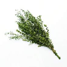 1 Bunch Preserved Eucalyptus Leaves, Natural Green Foliage For DIY Floral Arranging, Photography Props, Home & Bedroom Decor Gifts Birthday Graduation,Garden Decor,Outdoor Plant,Gardening,Fake Flowers