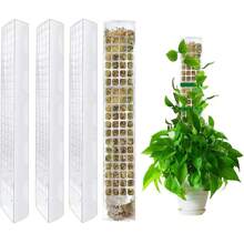 1/2/4 Stücke 60 cm Moosstäbe für Kletterpflanzen - Pflanzenunterstützung mit perforiertem Design für Zimmerbegrünung, Monstera und Sphagnum-Moos, Moospfahl für Pflanzen - Transparent - Übersicht 7