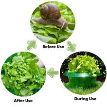 6pcs Transparent Green Circular Snail & Slug Protectors - Reusable Plant Covers Suitable For Protecting Plants, Animals, Snails & Insects - Multicolor - View 4
